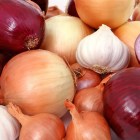 ONION MIX2